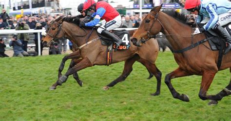 Supreme Novices Hurdle Preview, Tips, Runners & Trends (Cheltenham.